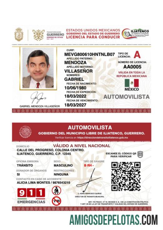 Carteira de motorista do estado de Guerrero no México baixar para verificação